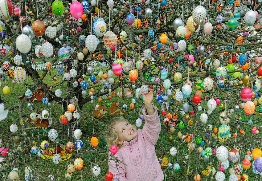Pictures Of Easter Egg Trees 121